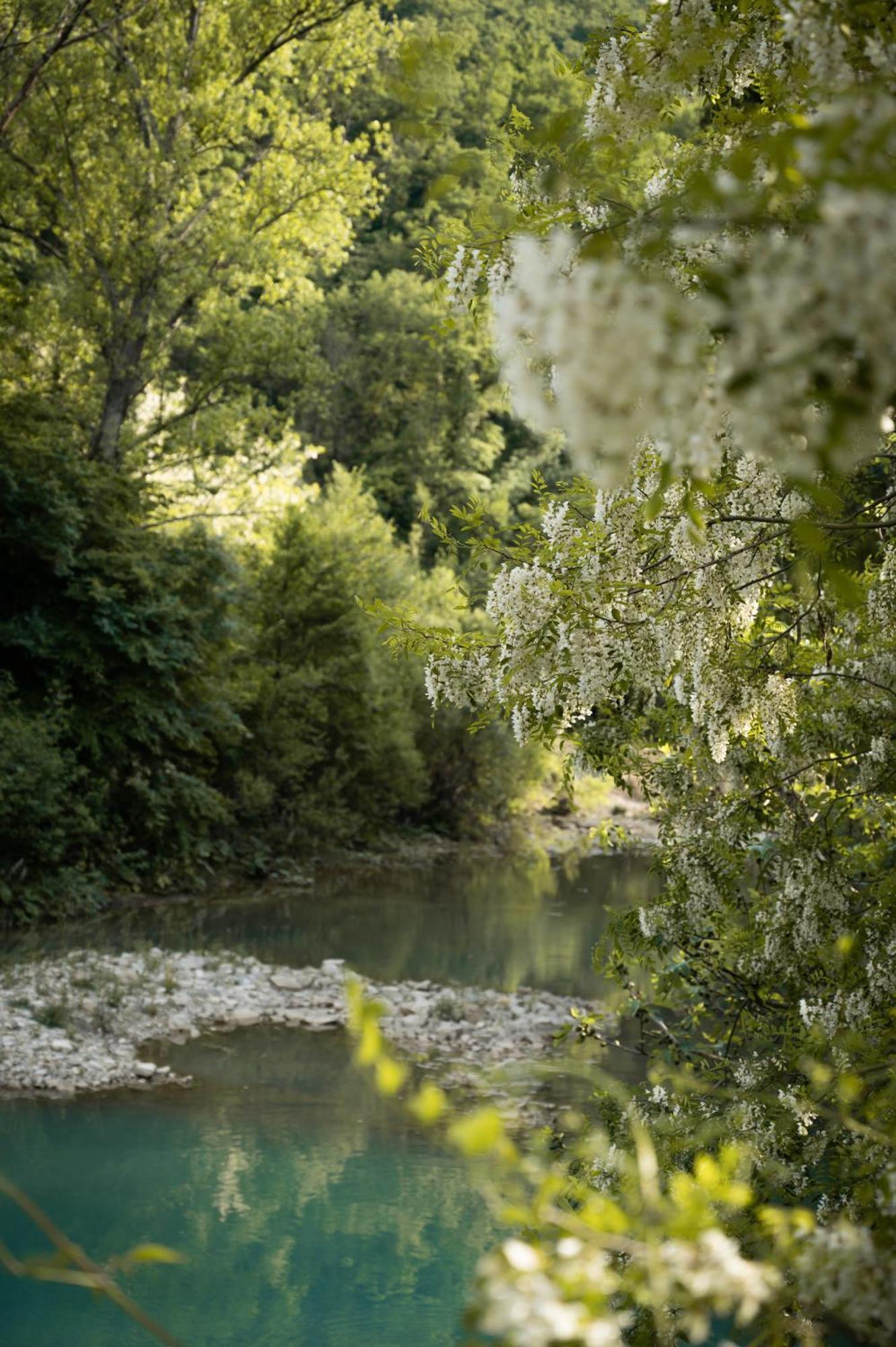 Glamping Dragonja River Šmarje Exteriör bild