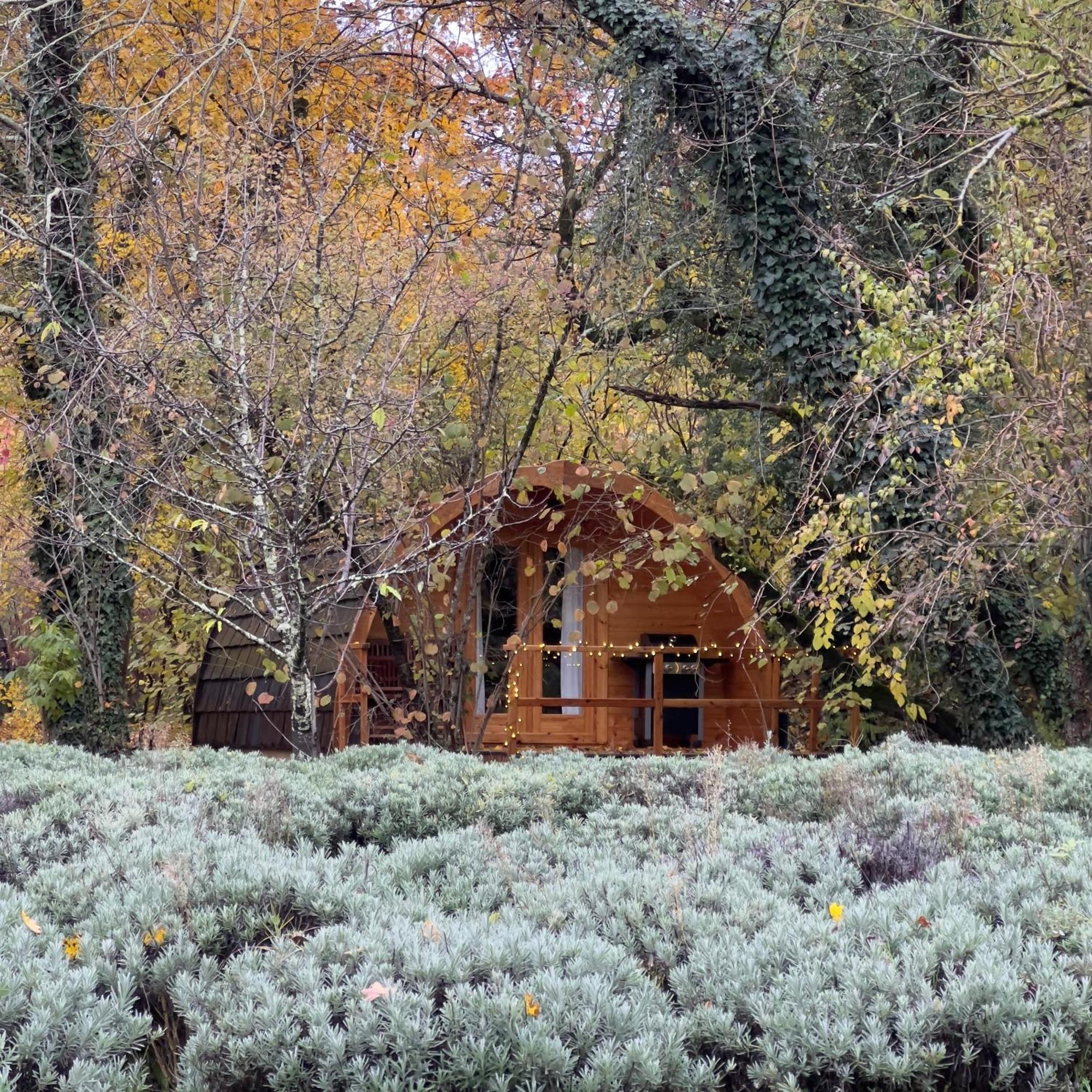 Glamping Dragonja River Šmarje Exteriör bild